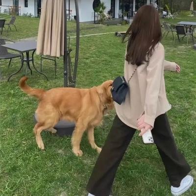 戴洛奇小镇第一季